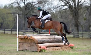 Person riding a horse